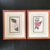Original and signed botanical watercolor