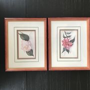 Aquarelle botanique originale et signée