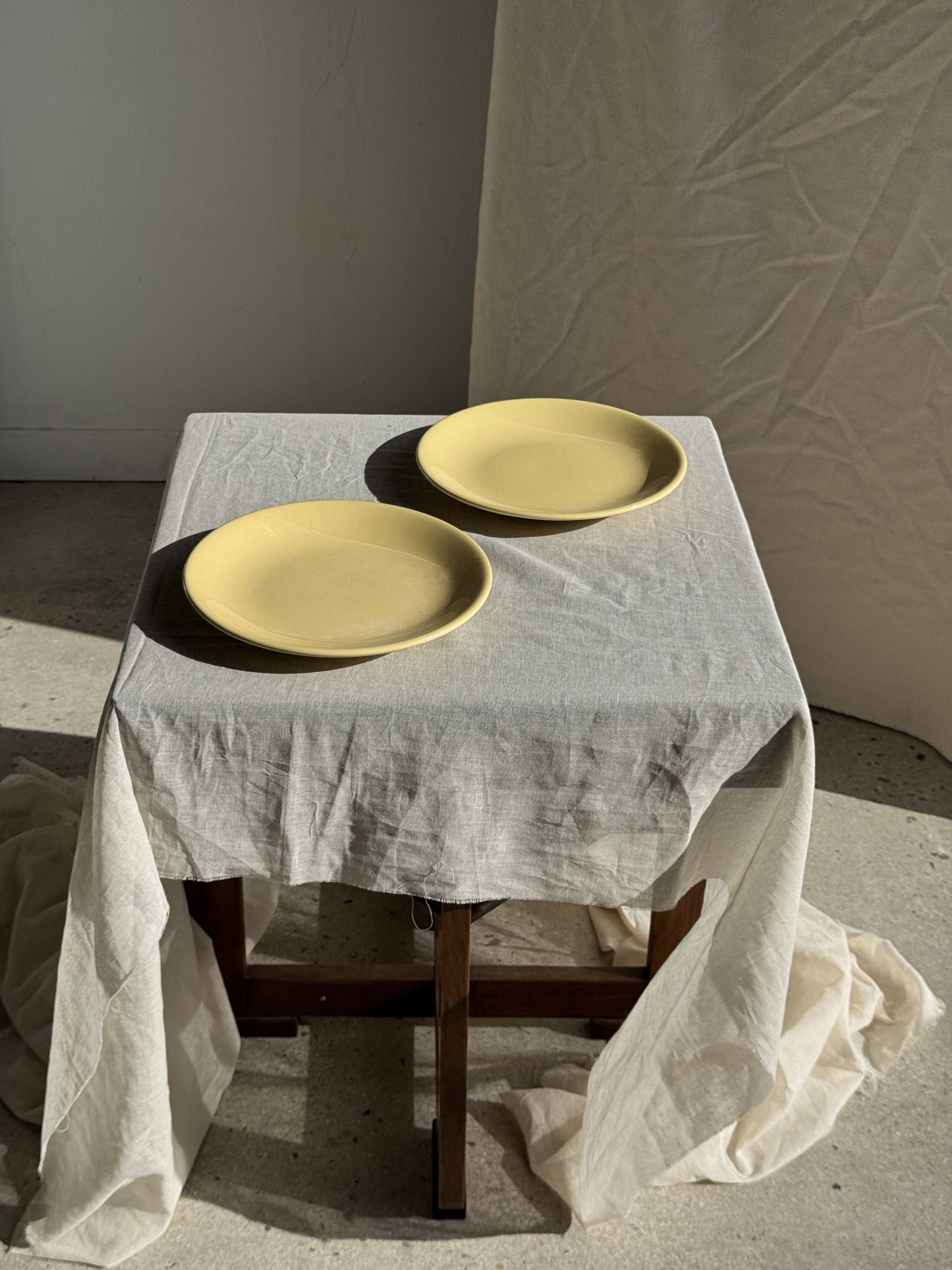 Set of 2 large yellow plates without brand D25.5