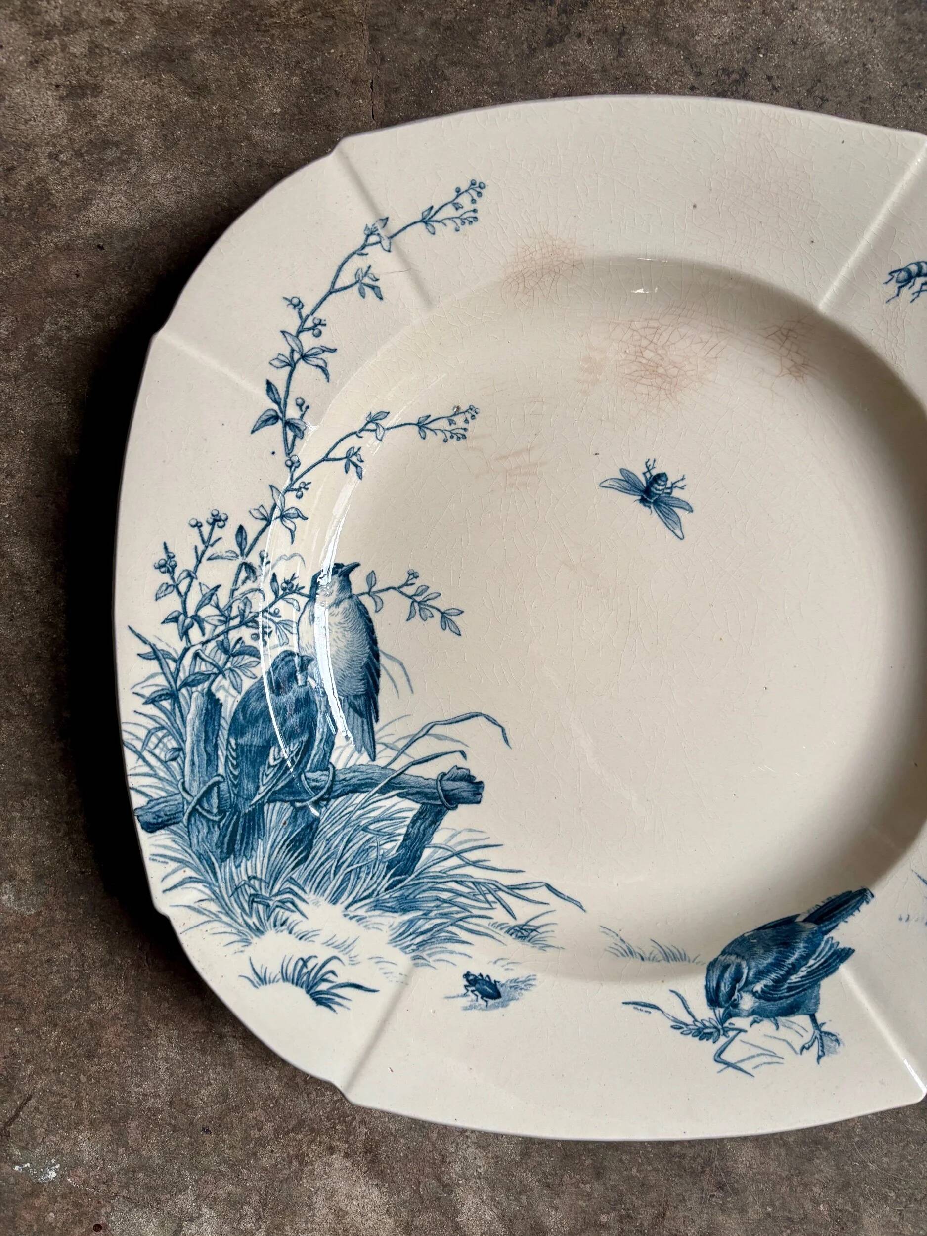 Medium square hollow plate Gien in blue ironstone, service "Birds" around 1870.