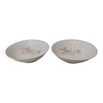 Pair of Vintage Limoges France Bowls