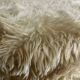 Pelfran chairperson in cream moumoute
