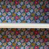 Armoire parisienne asymétrique bois brut 1950