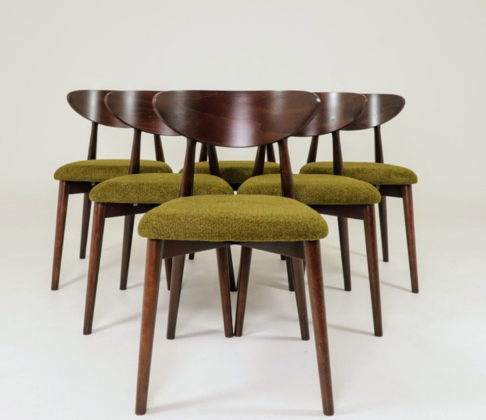 Chaises de salle à manger moderne design vert sauvage