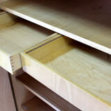 Wardrobe by Frantisek Mezulanik for UP Bucovice, 1960