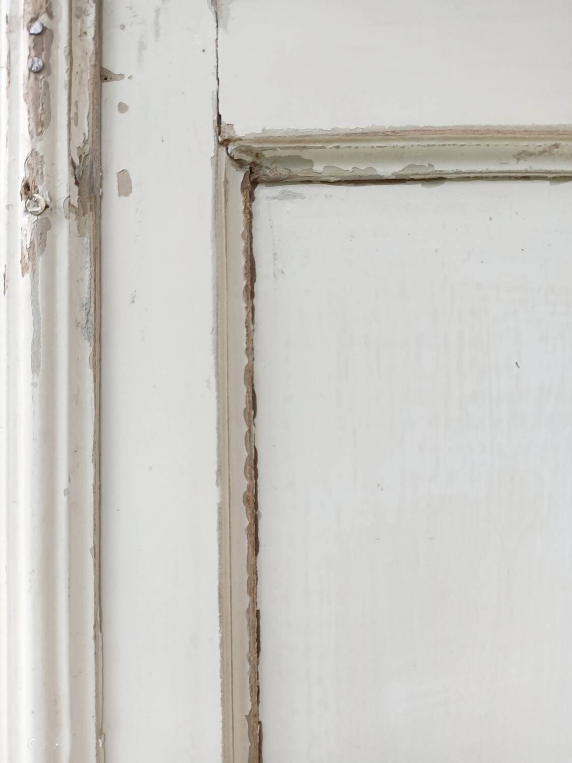 XXL Parisian wardrobe