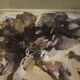 Italian Seascape Painting Signed Ferruccio Rosini Dated 1980
