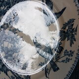 Suite of 4 plates in earthenware with bird décor