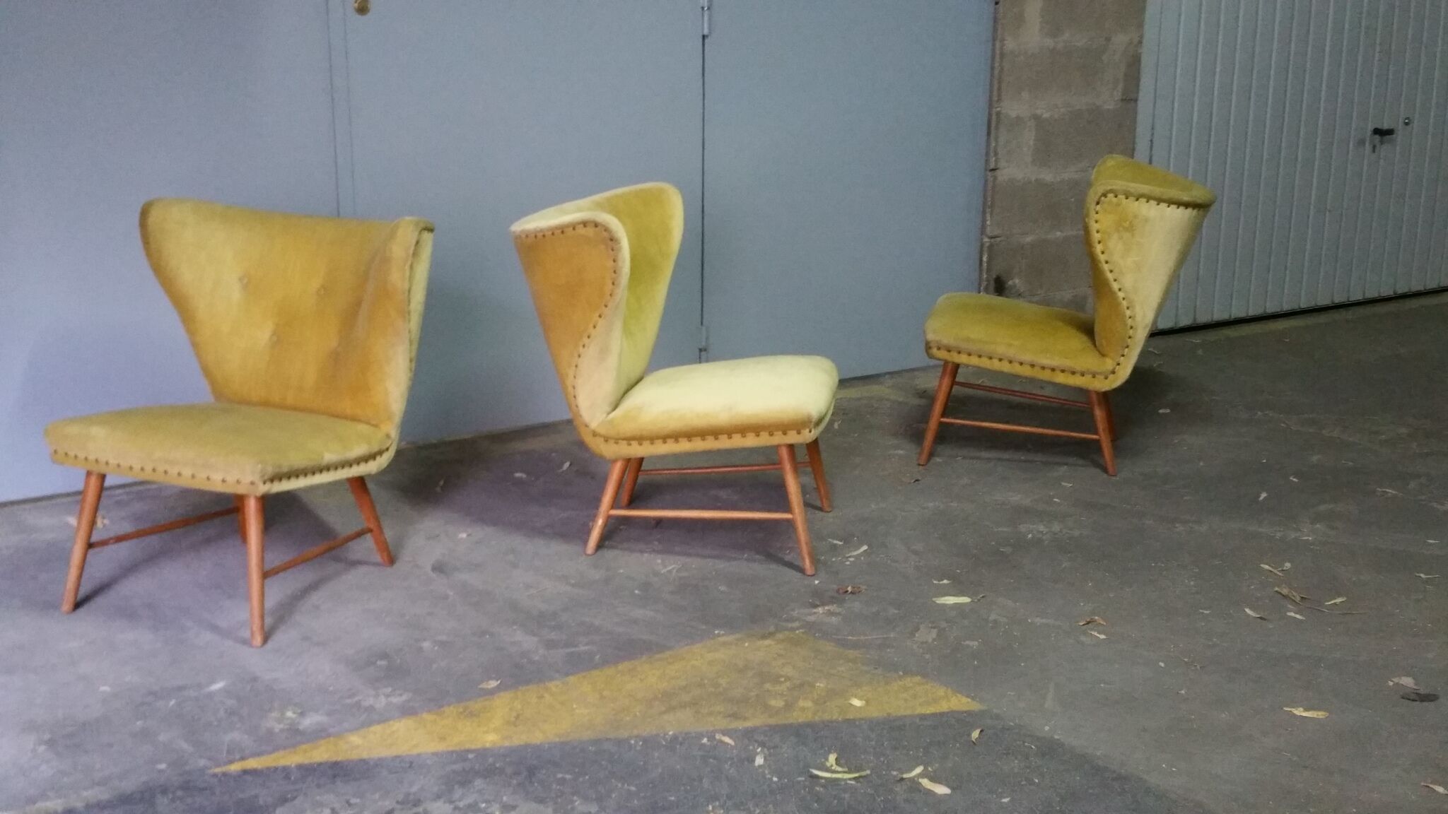 Yellow green trio of drivers at Danish flesh wing ears Elias Svedberg years 50/60