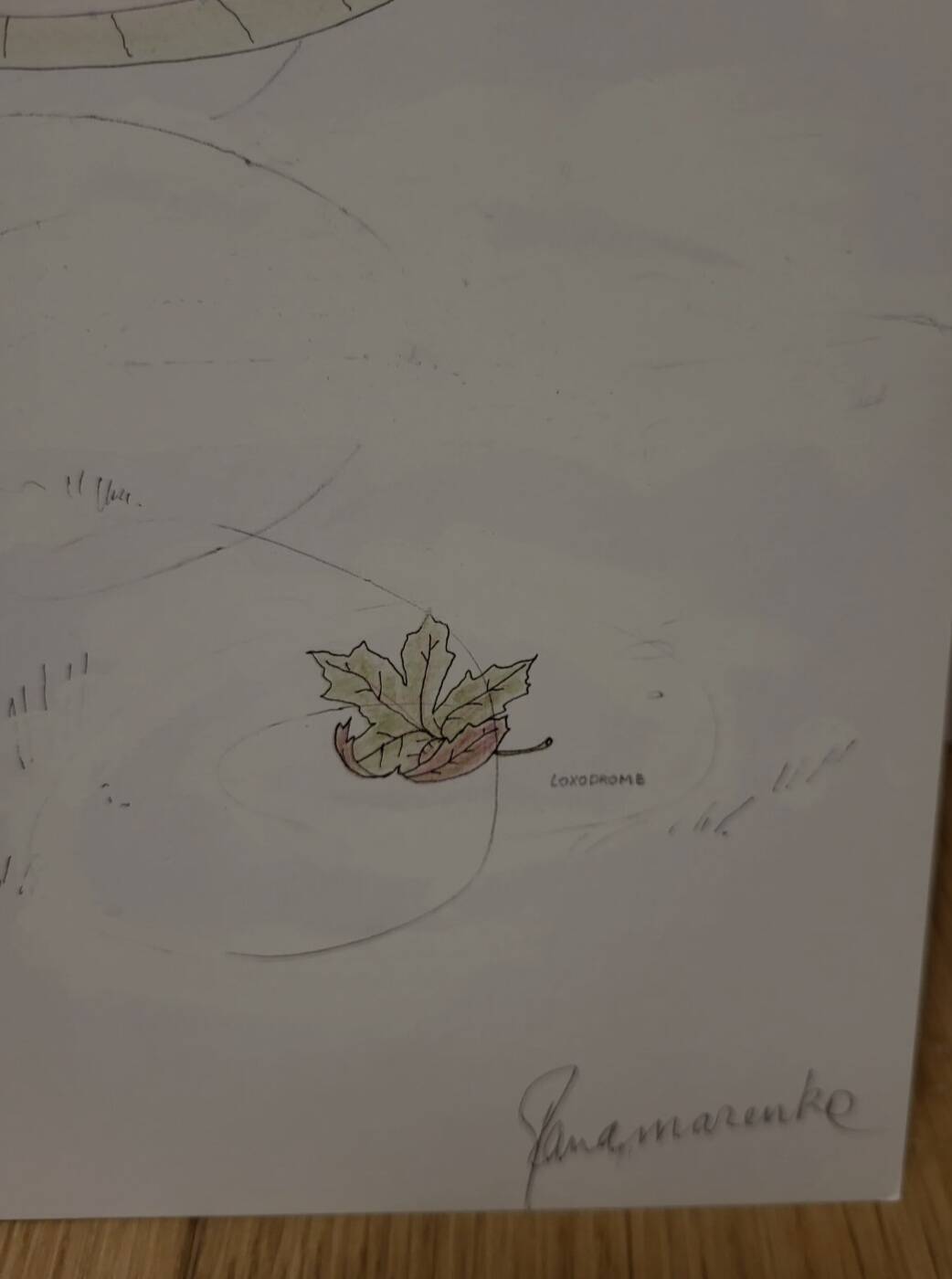 Panamarenko, Eiland et Loxodrome, 2004