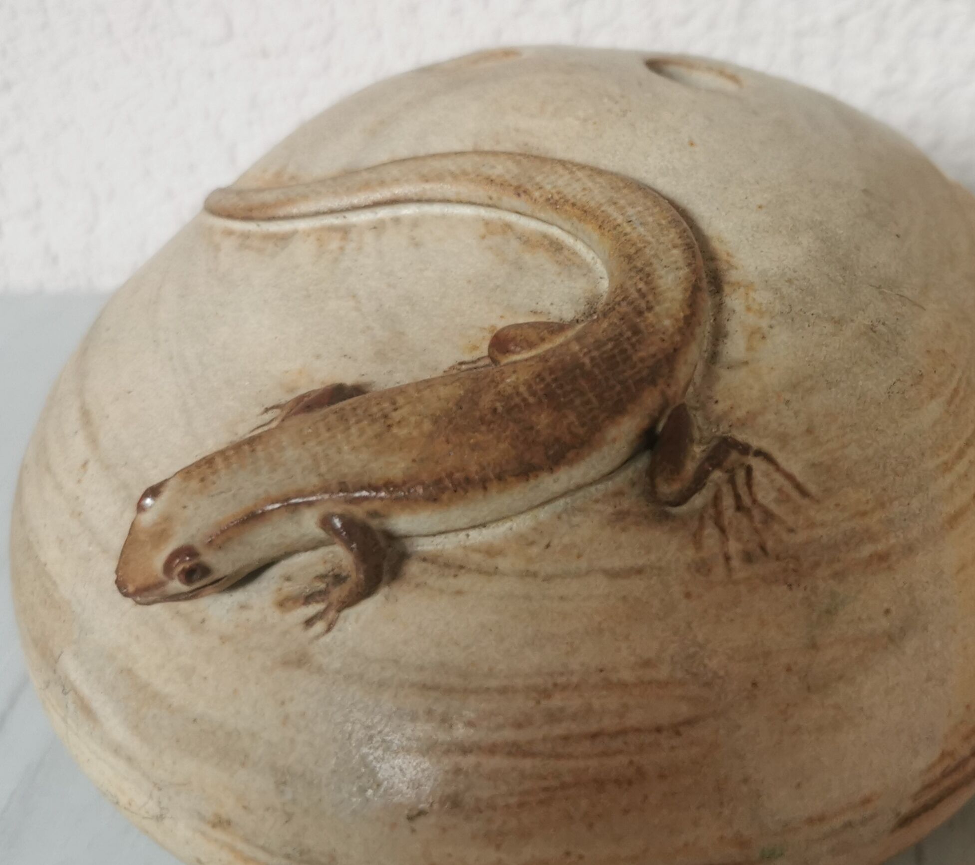 Pique flowers sandstone lizard