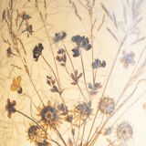 Lamp type herbarium 70s