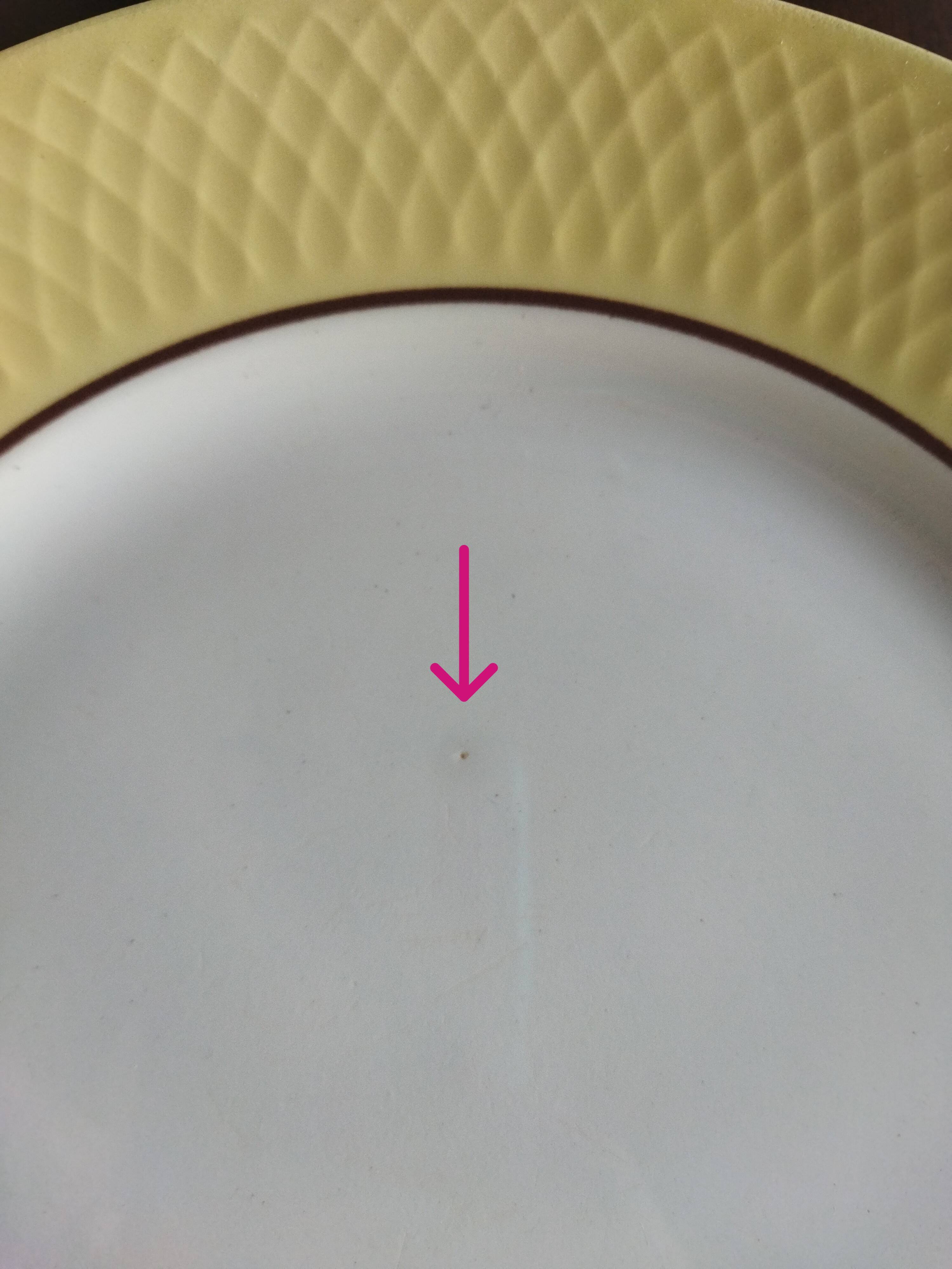 Flat plates Moulin des Loups Orchies (North)