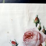 Pink botanical poster with lettuce leaves JP Redouté