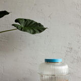 Vintage Czechoslovak Table Lamp Napako 8 5139, 1960s