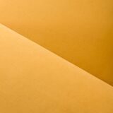 Gigi Radice mid century lounge chair for Minotti, Italy 1950s