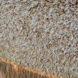 Tapis en laine