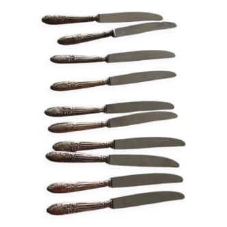 Coffret de 10 couteaux élégants argentés /argent