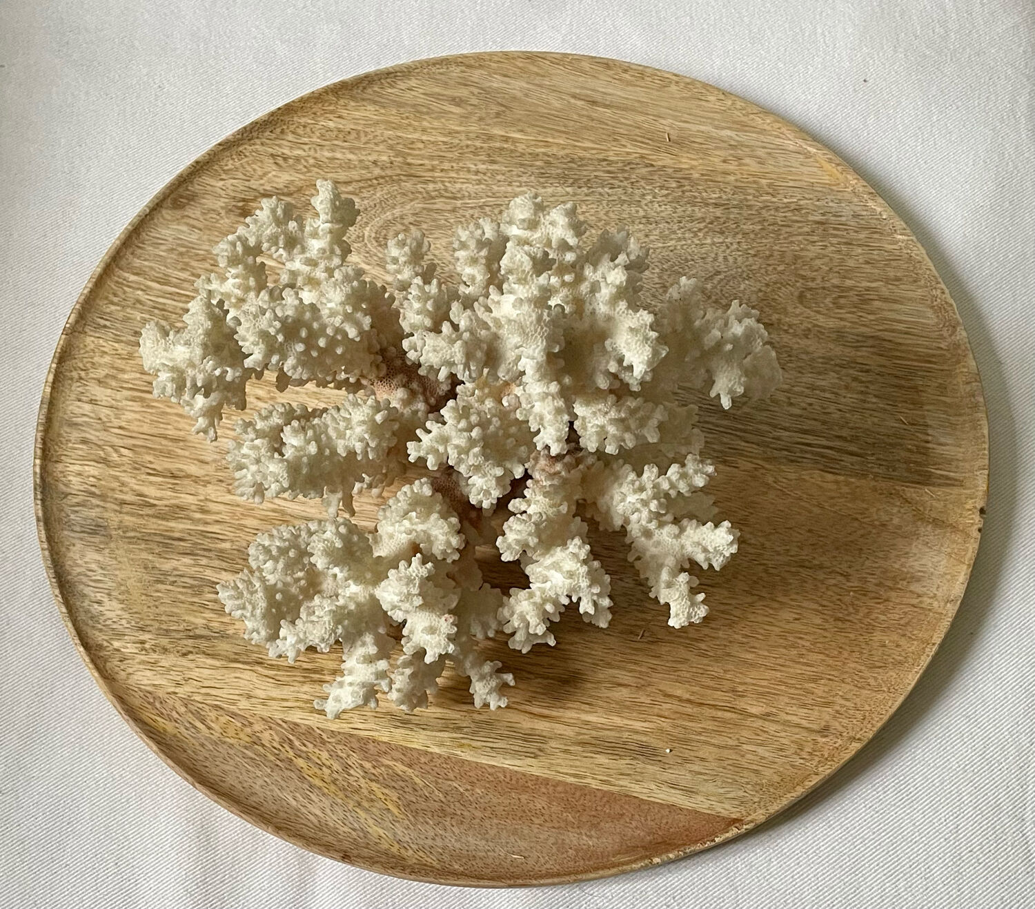 Vintage white coral