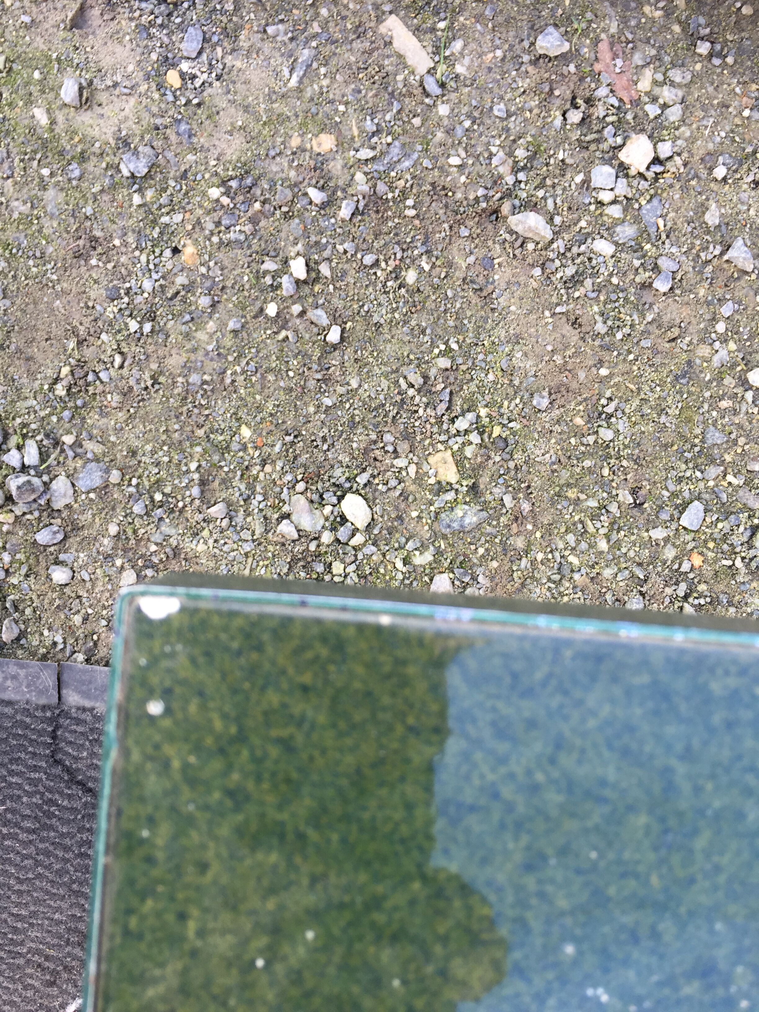 Vintage ceramic coffee table Vallauris spirit with metal x base