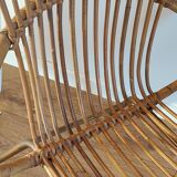 Rattan shell armchair