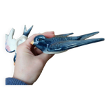 Swallows