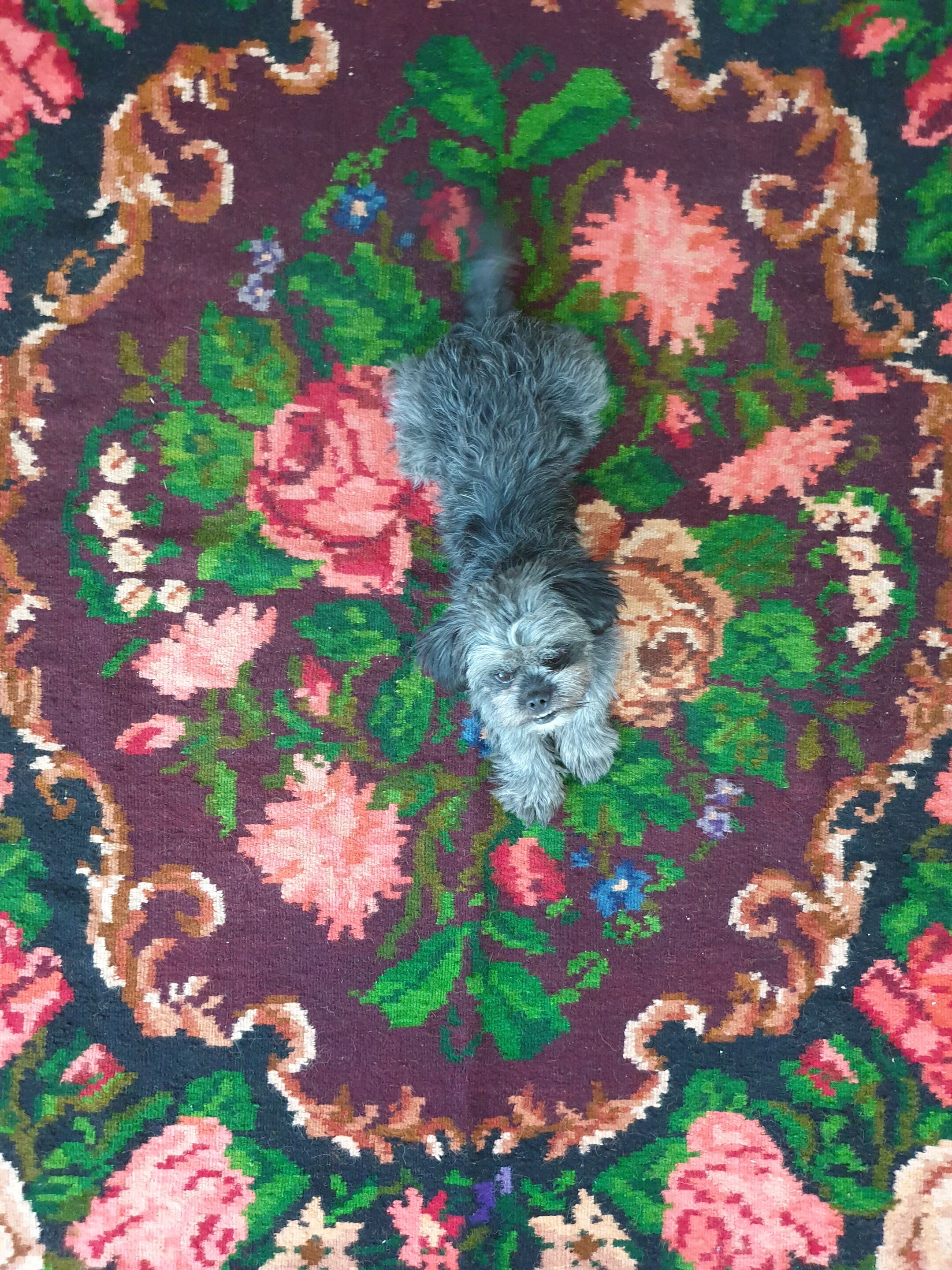 Moldavian wool handwoven floral rug - 210x162cm