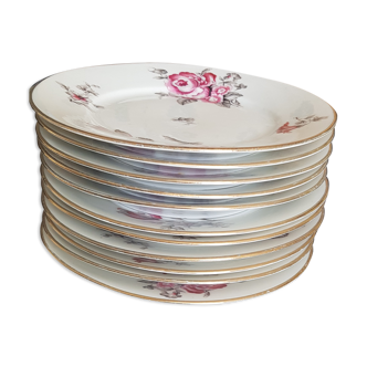 Lot of 11 porcelain plates