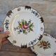 Set of 2 antique hand painted floral pattern plates