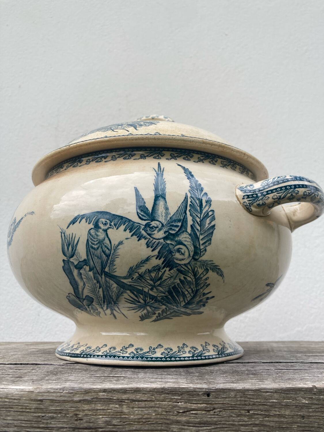 Earthenware tureen tureen Pexonne birds