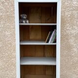 Vintage Parisian bookcase