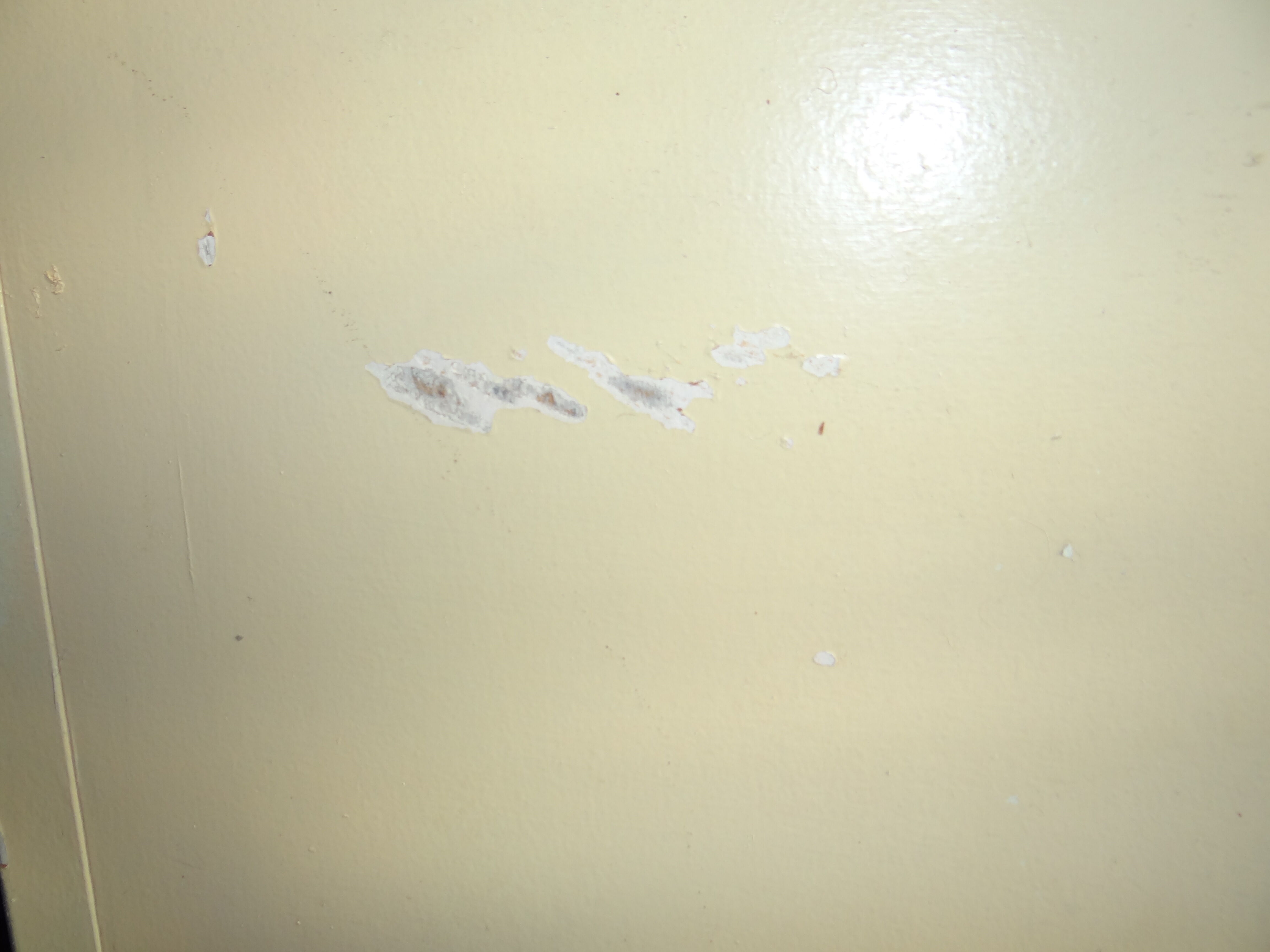 1950s Parisian wardrobe