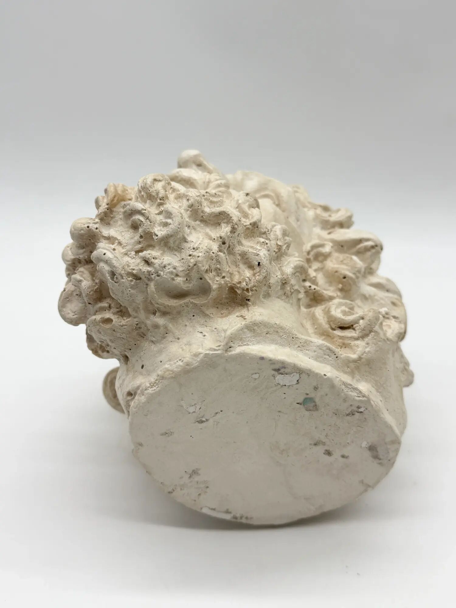 "Head of Laocoön" in plaster, contemporary reproduction, 20th century