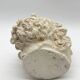 "Head of Laocoön" in plaster, contemporary reproduction, 20th century