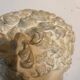 Head of Hermes