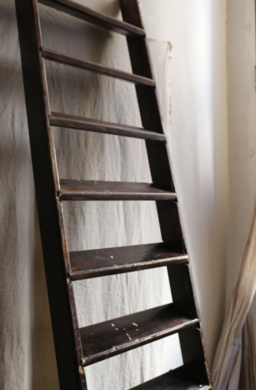 Large old ladder
