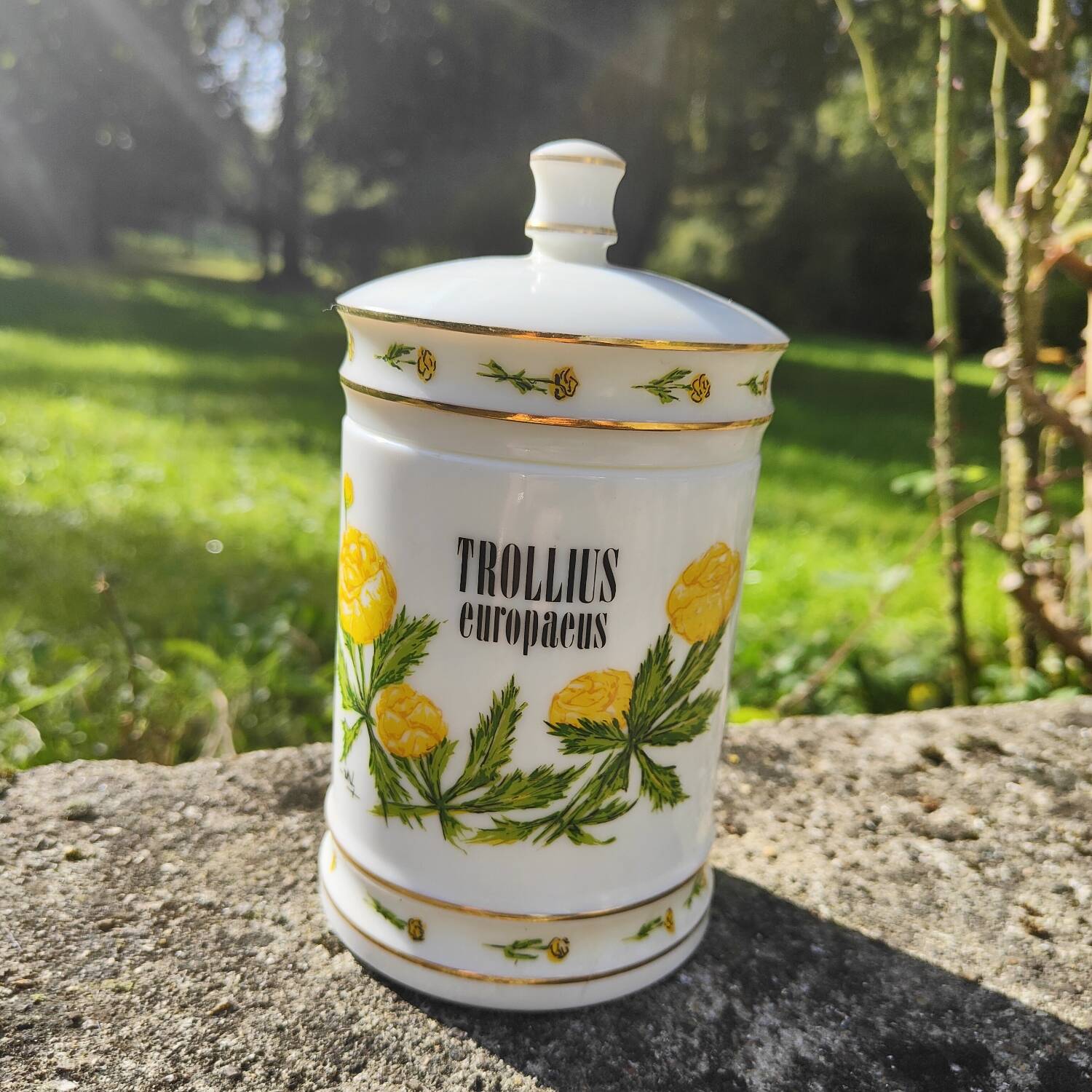 Opaline apothecary pot Vieux Rouen