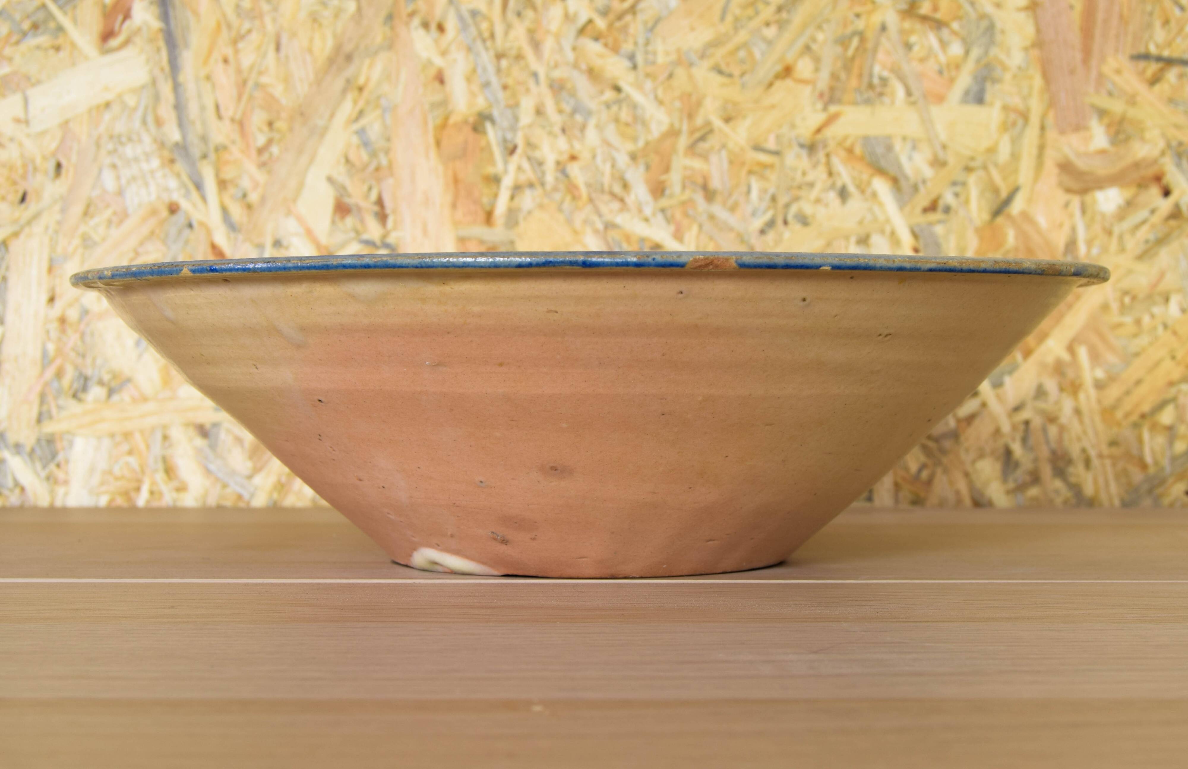 Talavera de la Reina Dish Lebrillo Parsley Ceramic from Spain XIX