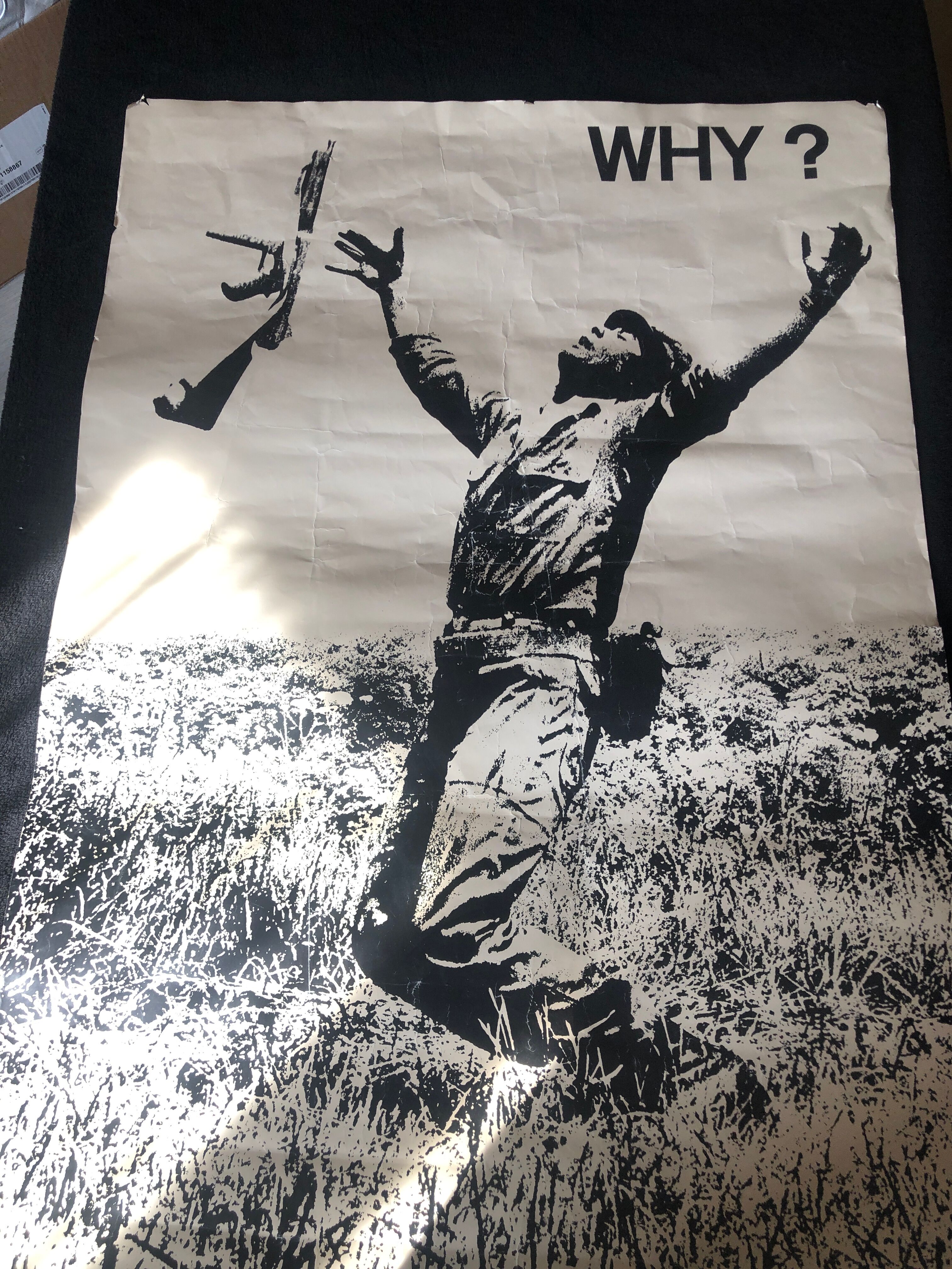 Poster WHY? Vietnam War