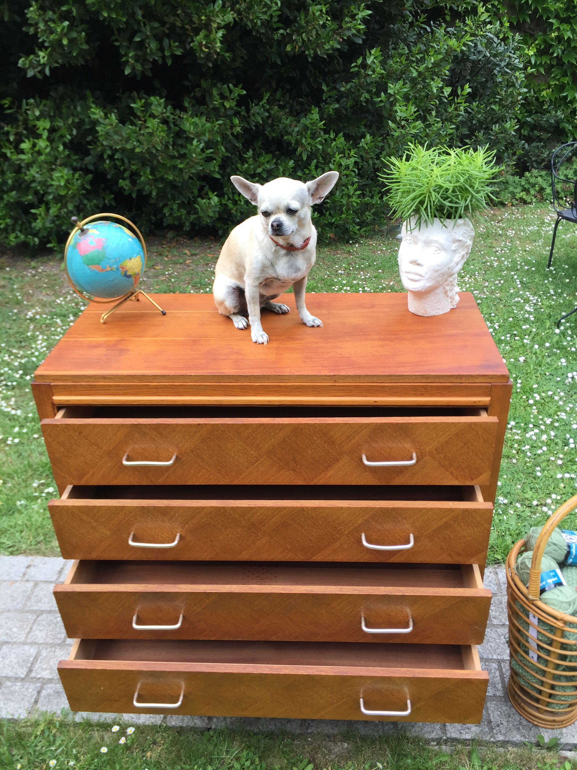 Dresser vintage feet compass 1950