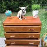 Dresser vintage feet compass 1950