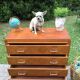 Commode vintage pieds compas 1950