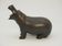 Hippopotamus