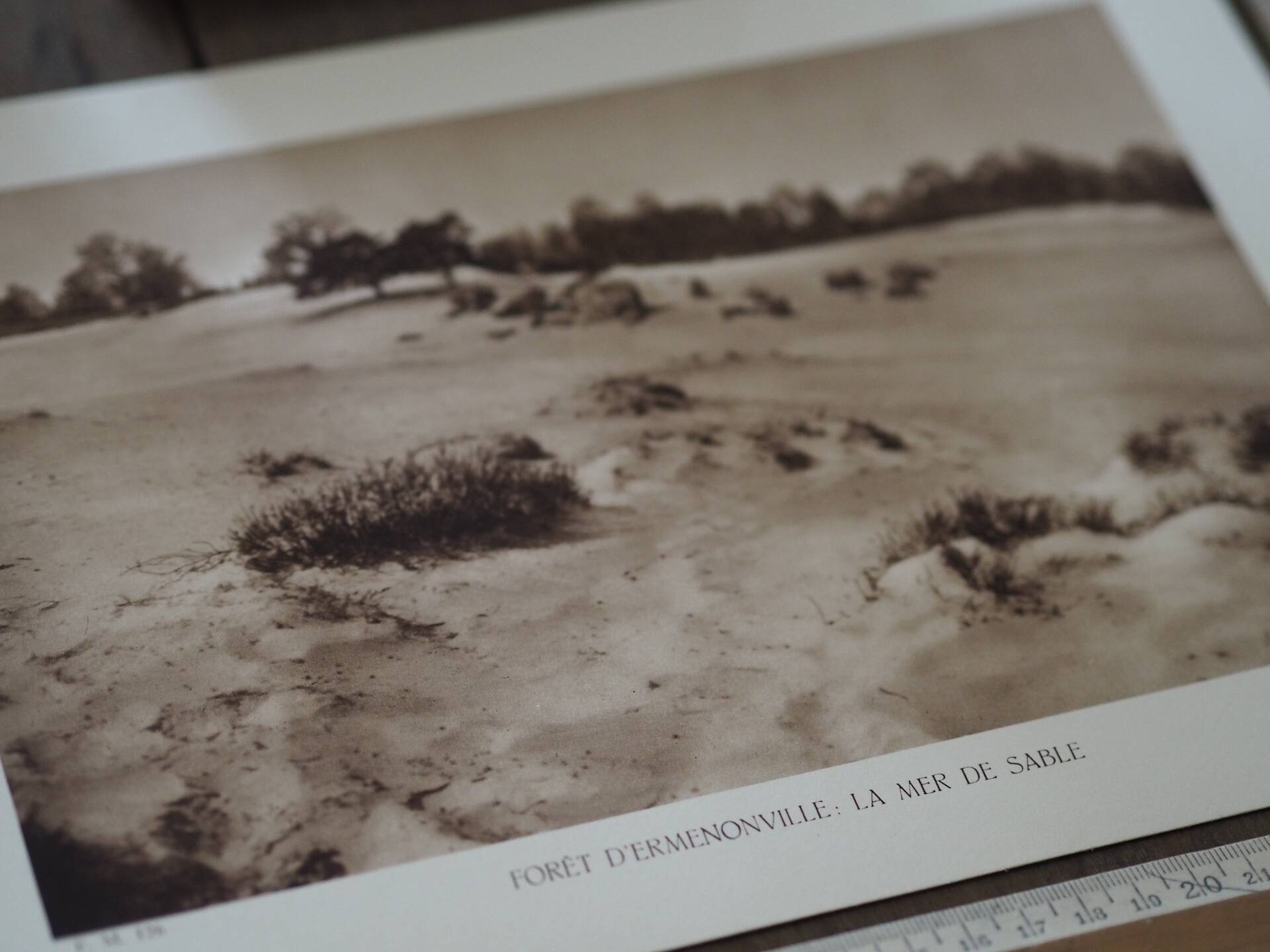 Ermenonville, the sea of sand. Photo board printed in 1934.