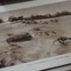 Ermenonville, the sea of sand. Photo board printed in 1934.