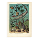 Old engraving from 1923 - Oceanography and marine life - vintage plate
