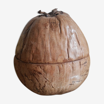 Seau à glaçons noix de coco naturalisée vintage