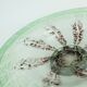 Magnifique grand bol en verre Art déco Ikora de WMF, Karl Wiedmann, années 1930, vert et
