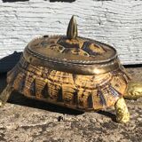 Turtle Storage Box by Anthony Redmile