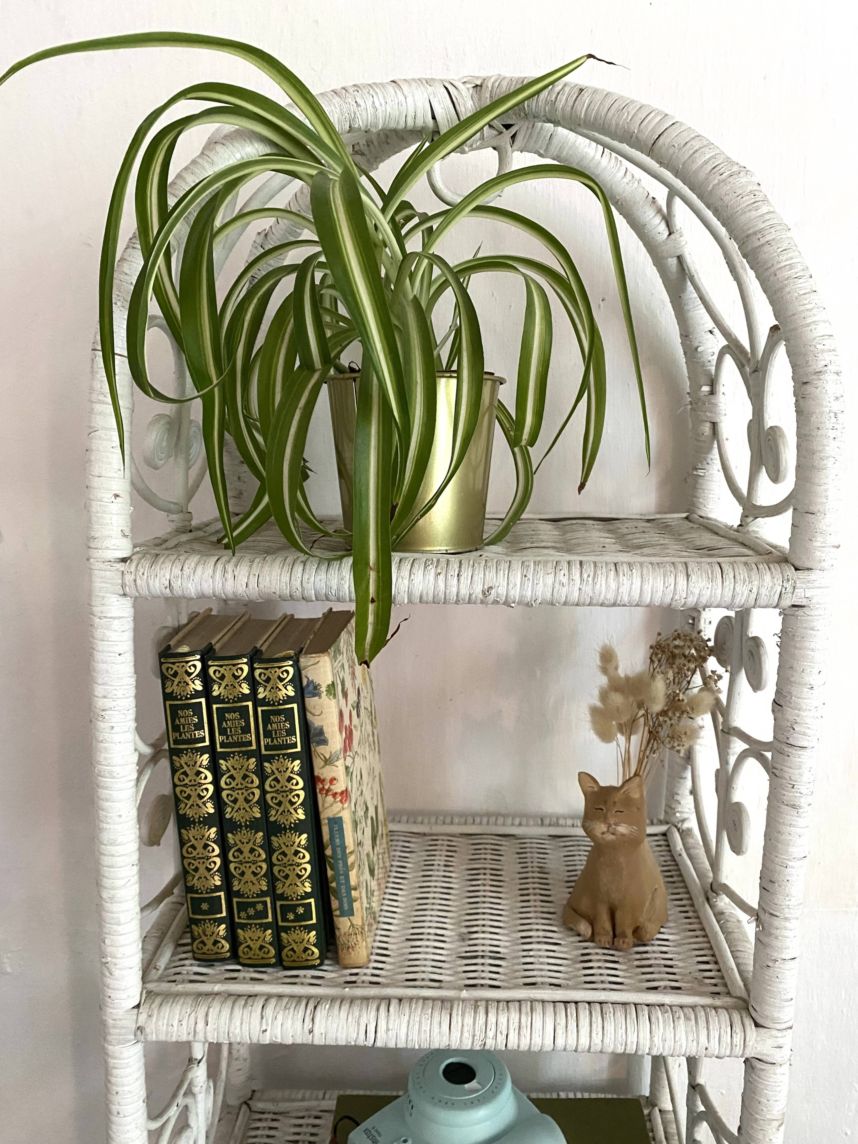 Peacok Rattan Shelf
